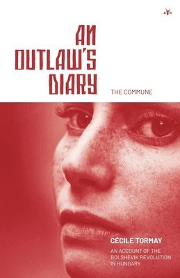 bokomslag An Outlaw's Diary