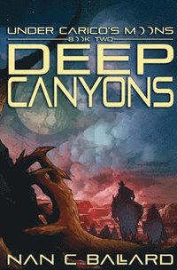 bokomslag Deep Canyons