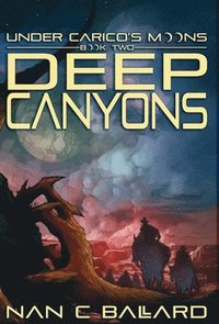 bokomslag Deep Canyons