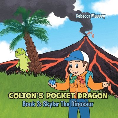 COLTON'S POCKET DRAGON Book 3 1