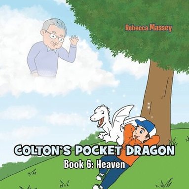 bokomslag COLTON'S POCKET DRAGON Book 6