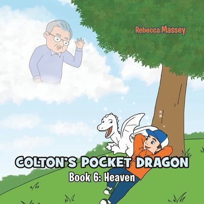 Rebecca C Massey, Rebecca C. Massey - COLTON'S POCKET DRAGON Book 6, Häftad
