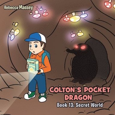 bokomslag COLTON'S POCKET DRAGON Book 13: Secret World