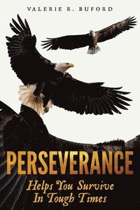 bokomslag Perseverance