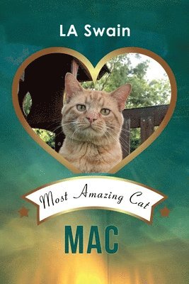 Mac