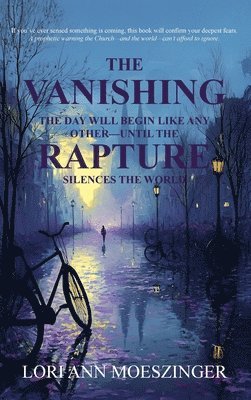 bokomslag Vanishing