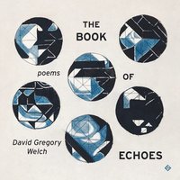 bokomslag Book of Echoes