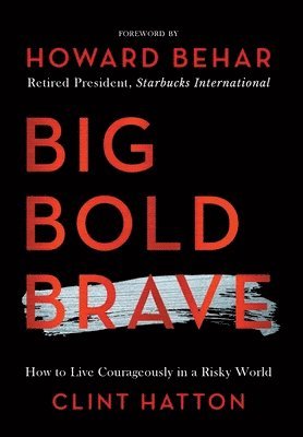 bokomslag Big Bold Brave