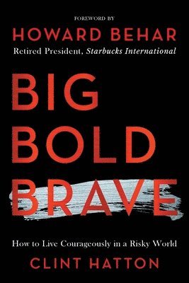 bokomslag Big Bold Brave
