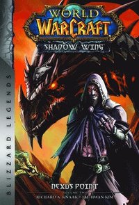 bokomslag World of Warcraft: Nexus Point - The Dragons of Outland - Book Two