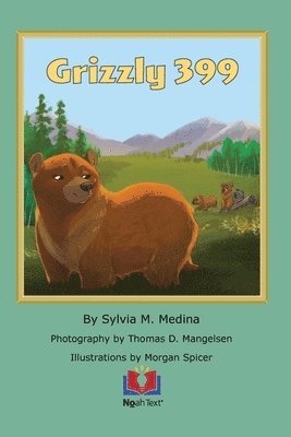 bokomslag Grizzly 399