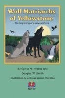 bokomslag Wolf Matriarchs of Yellowstone