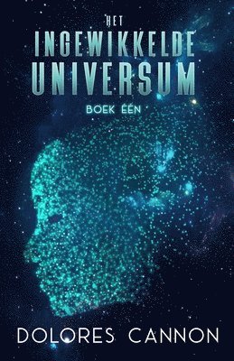 bokomslag Het ingewikkelde universum