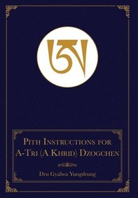 bokomslag The Pith Instructions for the Stages of the Practice Sessions of the A-Tri (A Khrid) System of Bon Dzogchen Meditation