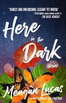 Meagan Lucas - Here in the Dark, Häftad