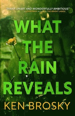 What the Rain Reveals