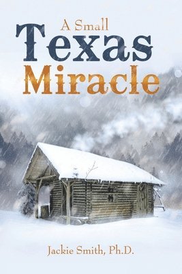 bokomslag Small Texas Miracle