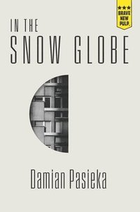 bokomslag In the Snow Globe