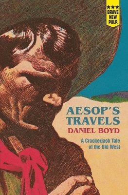 bokomslag Aesop's Travels