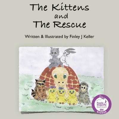 The Kittens and The Rescue 1