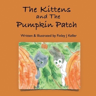 The Kittens and The Pumpkin Patch 1