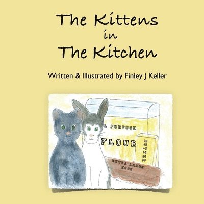 The Kittens in The Kitchen 1