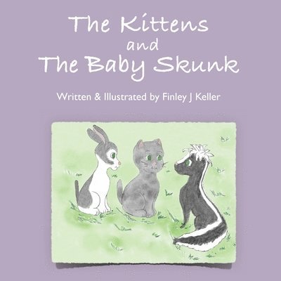 The Kittens and The Baby Skunk 1
