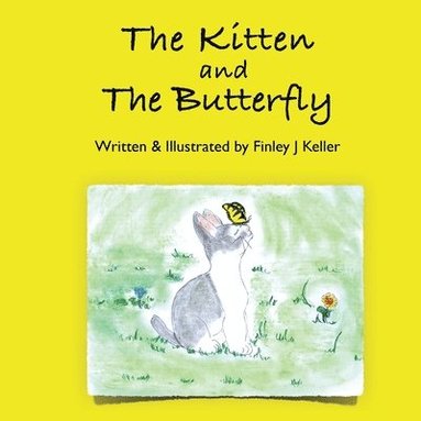 bokomslag Kitten and The Butterfly