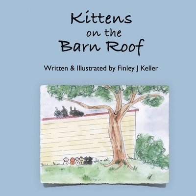 Kittens on The Barn Roof 1
