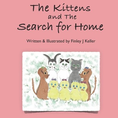 The Kittens and The Search for Home 1