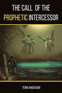 bokomslag The Call Of The Prophetic Intercessor