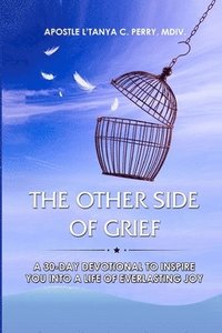 bokomslag The Other Side of Grief