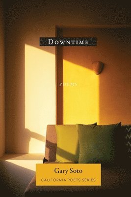 Gary Soto - Downtime, Häftad