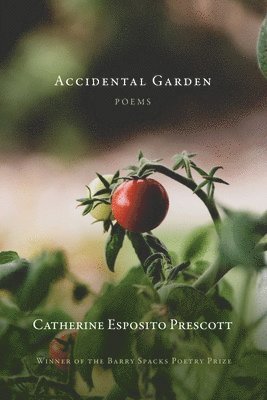 Accidental Garden 1