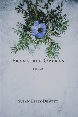 bokomslag Frangible Operas