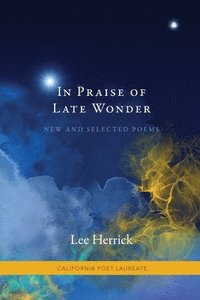 bokomslag In Praise of Late Wonder