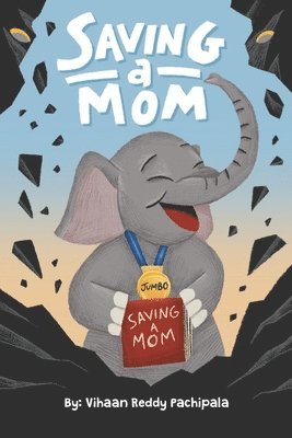 Vihaan Reddy Pachipala - Saving a Mom, Häftad