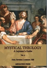 bokomslag Mystical Theology