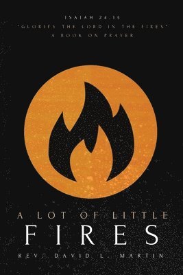 David L Martin - Lot Of Little Fires, Häftad