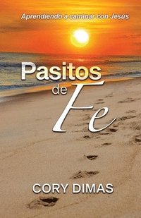 bokomslag Pasito de Fe
