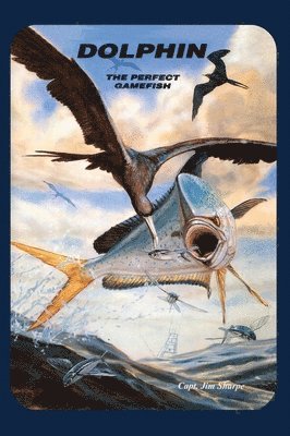bokomslag Dolphin: The Perfect Gamefish