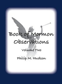 bokomslag Book of Mormon Observations
