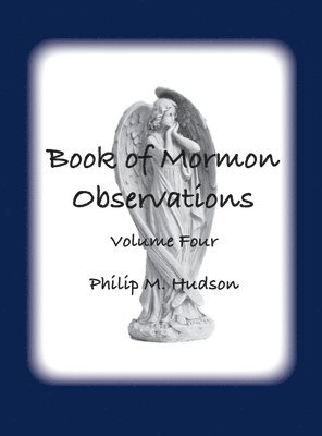 bokomslag Book of Mormon Observations