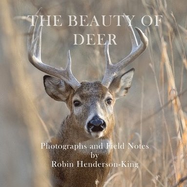 bokomslag Beauty of Deer