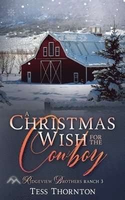 bokomslag Christmas Wish for the Cowboy