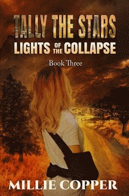 bokomslag Tally the Stars: Lights of the Collapse (An Apocalyptic Survival Thriller)