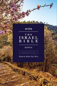 bokomslag Israel Bible - Kings