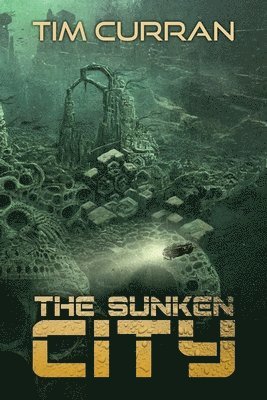 bokomslag The Sunken City