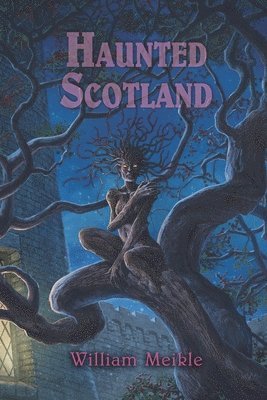 William Meikle, Joe Morey - Haunted Scotland, Häftad