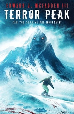bokomslag Terror Peak